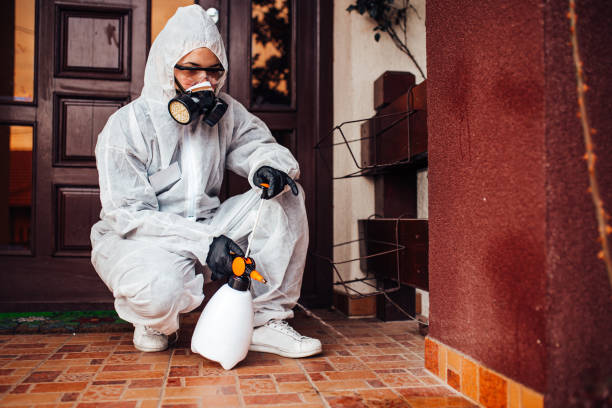 Reliable Wasp Removal contractor in Monroe, IA by Show Me Pest Control